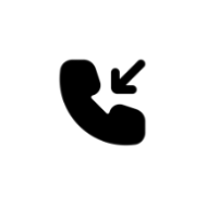 Alternate icon