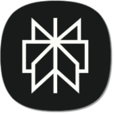 Perplexity icon